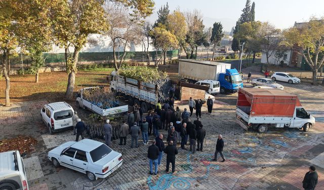 Büyükşehir’den Bin 500 Üreticiye 193 Bin Adet Fidan Desteği