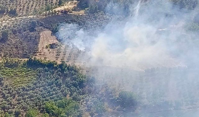 Kahramanmaraş’ta Ziraat Yangını Kontrol Altına Alındı