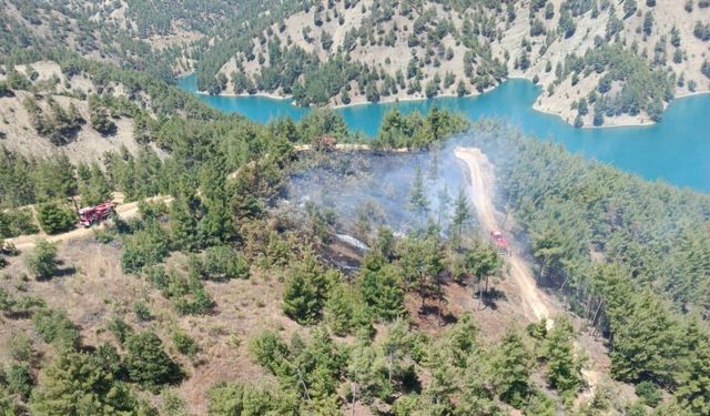 Kahramanmaraş’ta Orman Yangını