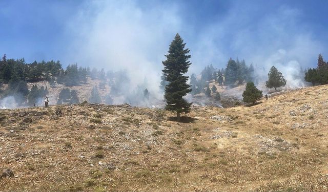 Kahramanmaraş’ta Peş Peşe Orman Yangını Korkuttu