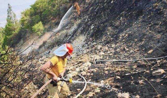 Kahramanmaraş’ta Orman Yangını Kontrol Altına Alındı