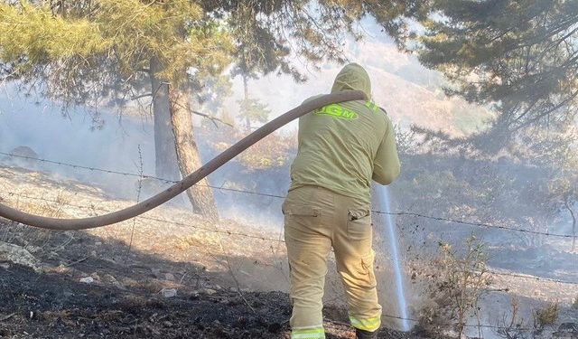 Kahramanmaraş’ta Orman Yangını