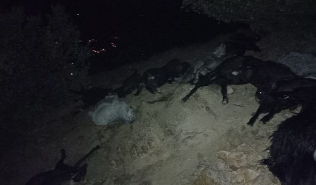 Kahramanmaraş’ta Yıldırım Düştü: 20 Keçi Telef Oldu