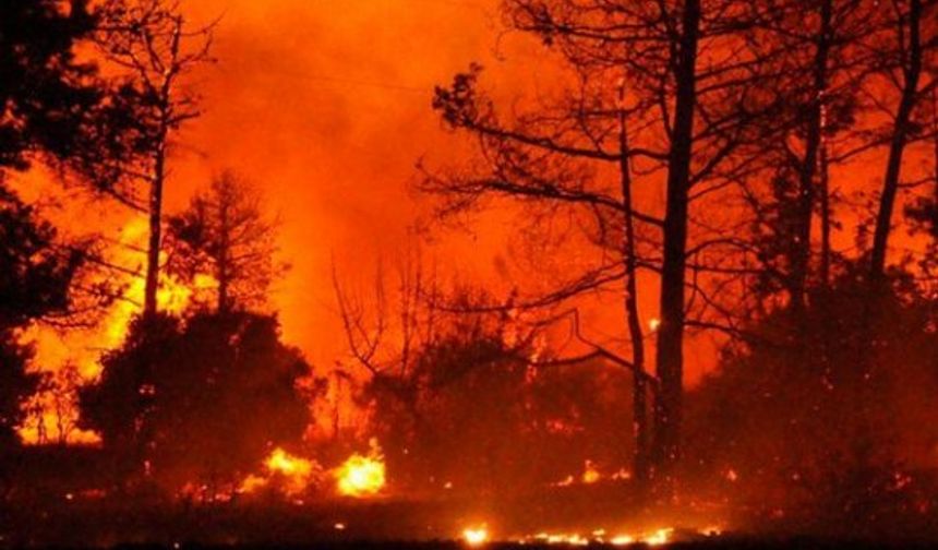 Yunanistan'da çıkan yangında ölü sayısı 50 kişiyi aştı!