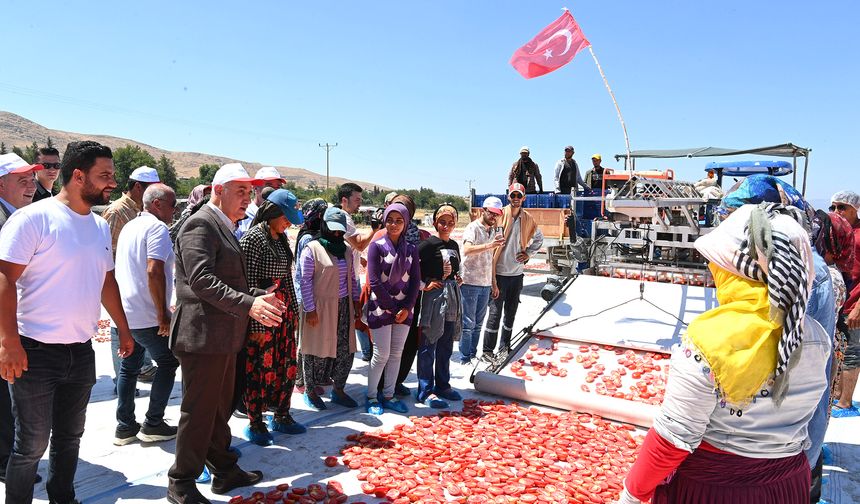 Başkan Güngör; “Tarım Ürünlerimizin İhracattaki Payı Artıyor”