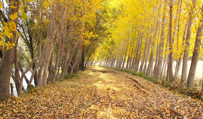 Kahramanmaraş'ta kartpostallık sohbahar manzarası