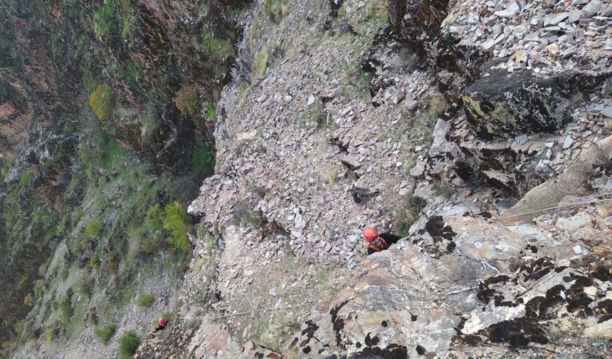 Kahramanmaraş'ta Mahsur Kalan Keçiler Kurtarıldı