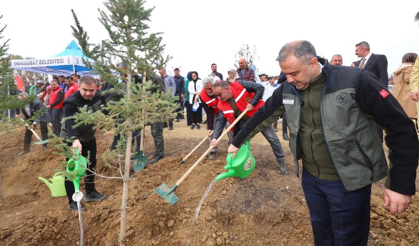 Onikişubat Belediyesi, yangından etkilenen alanları yeniden yeşertti