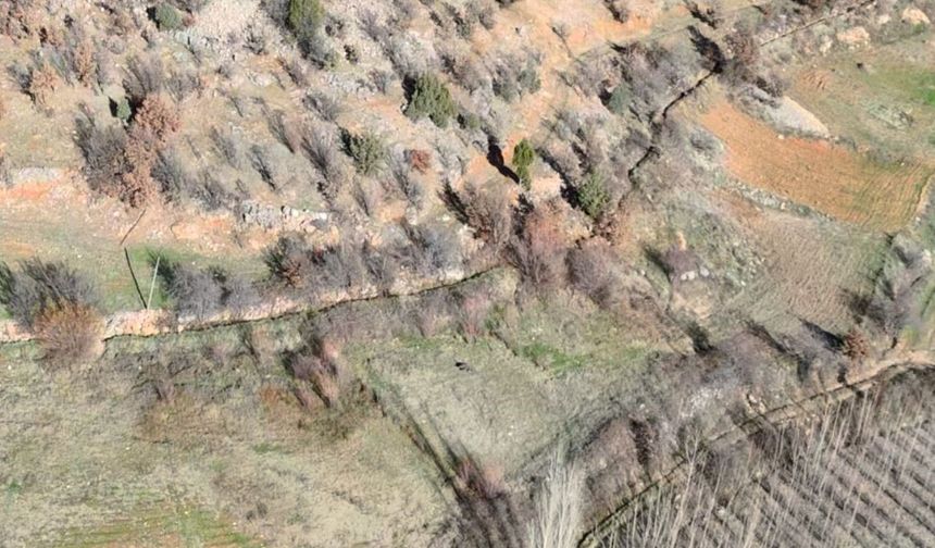 Nurhak’ta Yaban Domuzu Avı Yapıldı