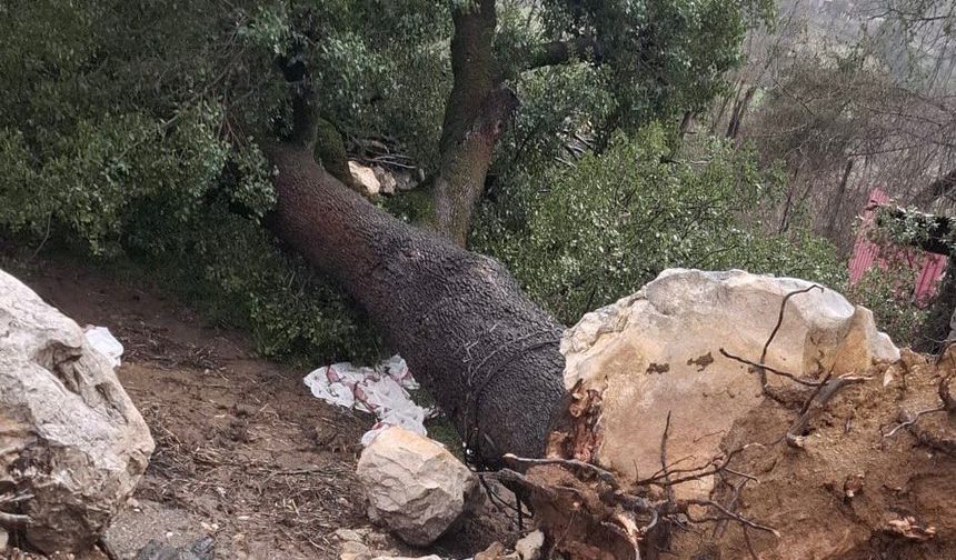 Andırın’da Hortum Hayatı Felç Etti