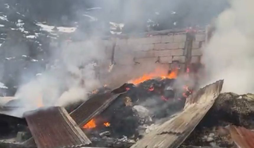 Kahramanmaraş’ta Ahır Yangını  Paniğe Neden Oldu