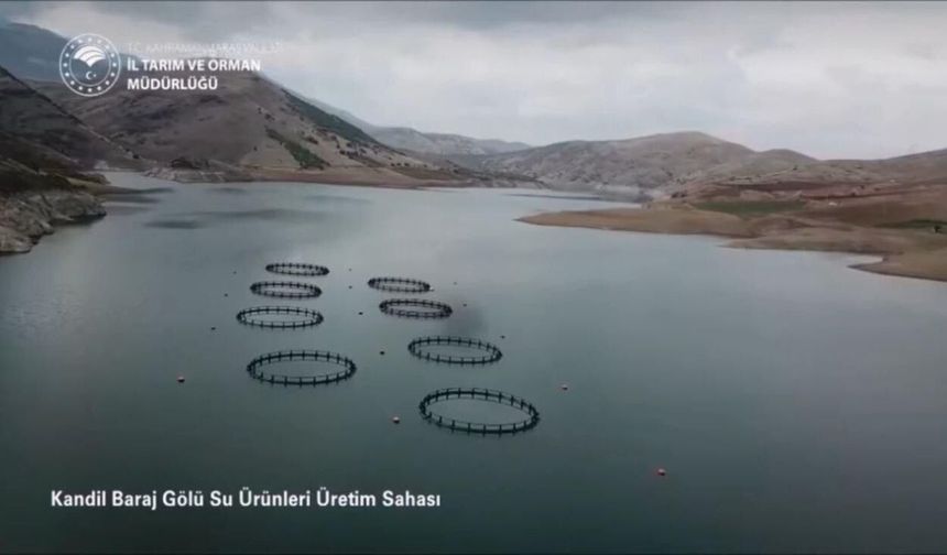 Kahramanmaraş Rekora Koşuyor