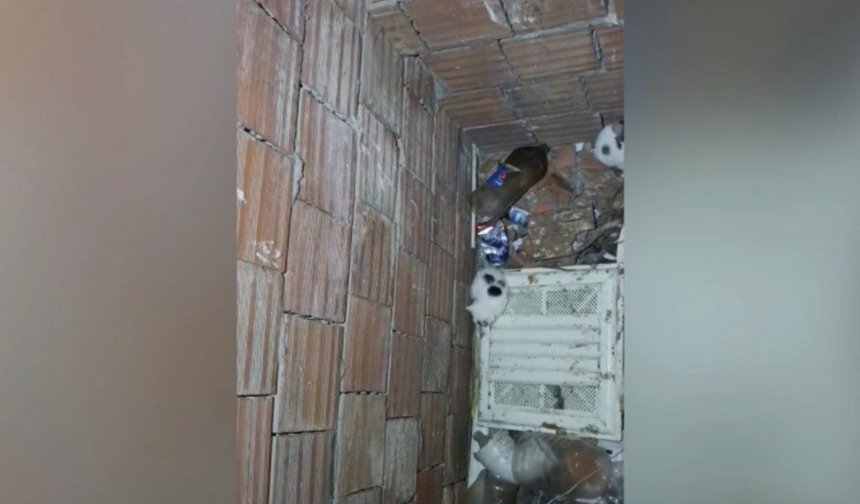 Kahramanmaraş’ta Yavru Kediler İçin İtfaiye Ekipleri Seferber Oldu