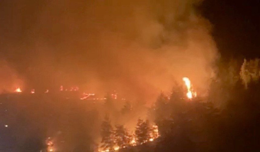 Kahramanmaraş’ta Ormanı Yakan Sanığa Hapis ve Milyonluk Tazminat