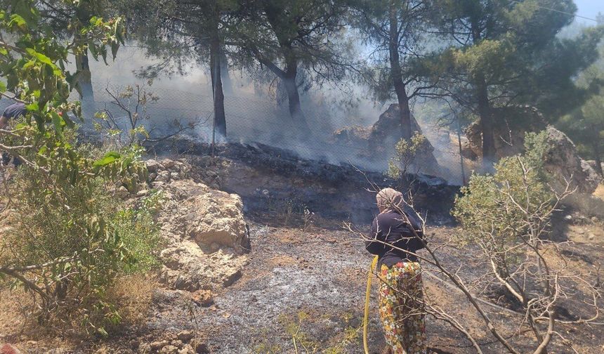 Kahramanmaraş’ta Ormanlık Alanda Çıkan Yangın Söndürüldü