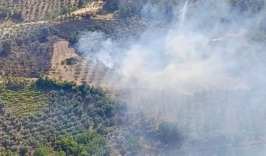 Kahramanmaraş’ta Ziraat Yangını Kontrol Altına Alındı