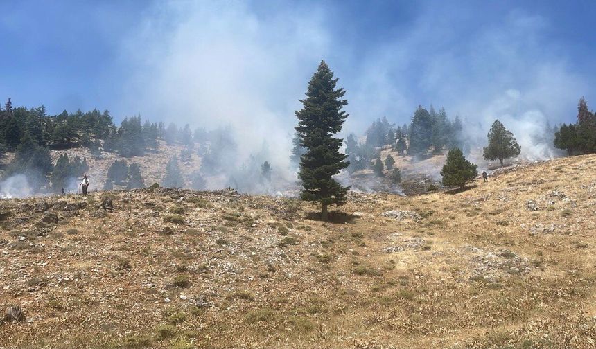 Kahramanmaraş’ta Peş Peşe Orman Yangını Korkuttu