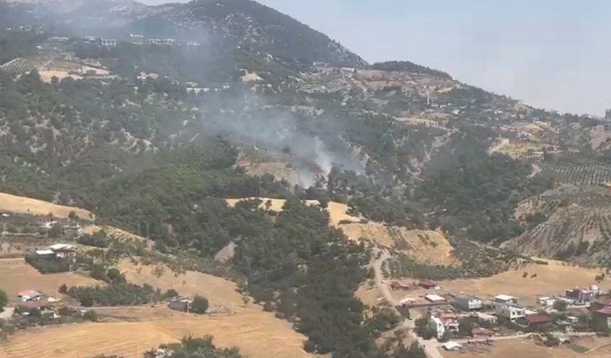Kahramanmaraş’ta Orman Yangını