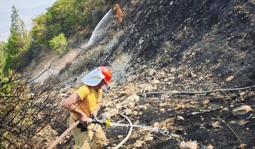 Kahramanmaraş’ta Orman Yangını Kontrol Altına Alındı