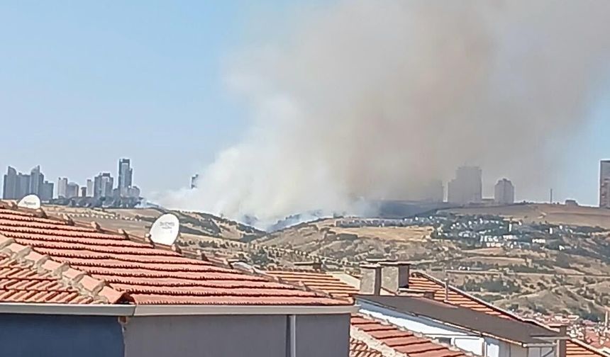 Kahramanmaraş’ta ziraat yangını korkuttu
