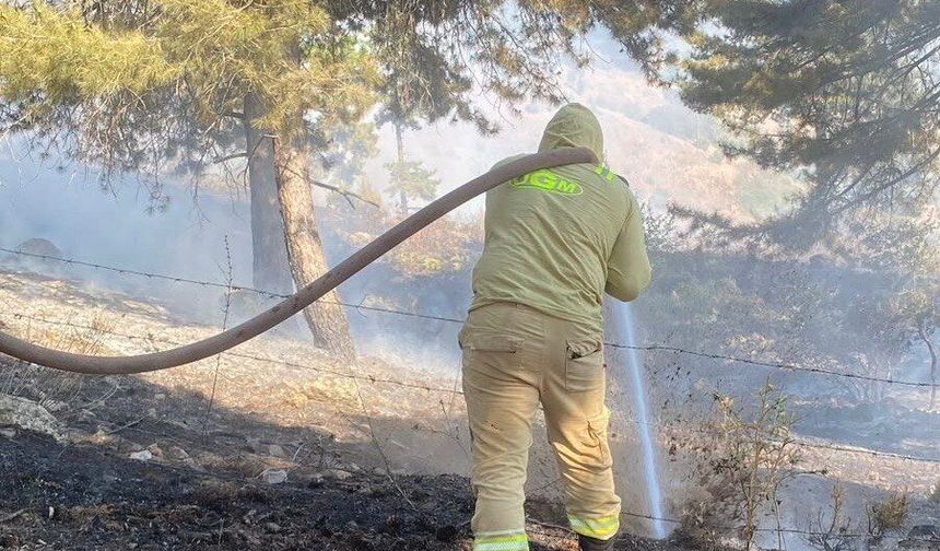 Kahramanmaraş’ta Orman Yangını