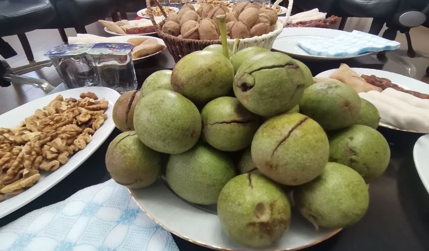 Kahramanmaraş Cevizinde Hasret Sona Erdi