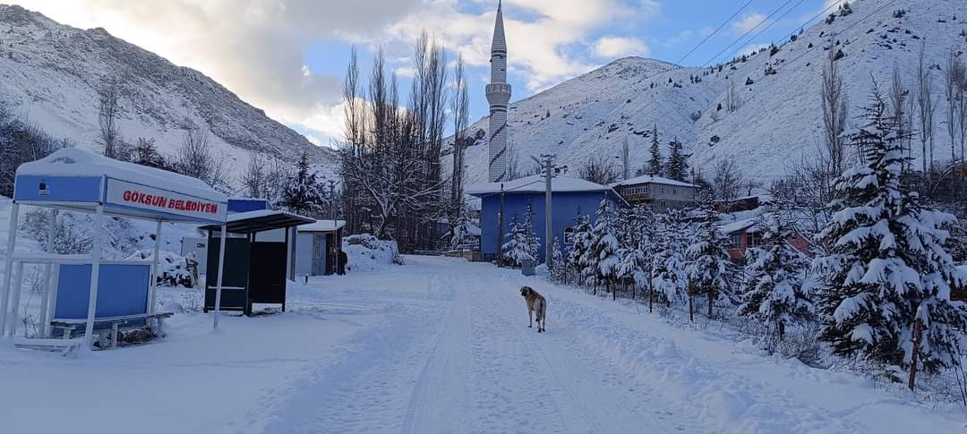 Kahramanmaraş'ta kar sonrası kartpostallık görüntüler!