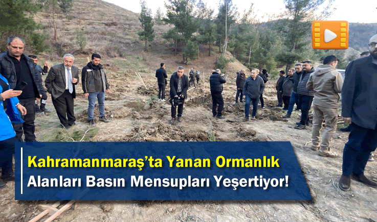 Kahramanmaraş'ta Yanan Ormanlık Alanları Basın Mensupları Yeşertiyor!