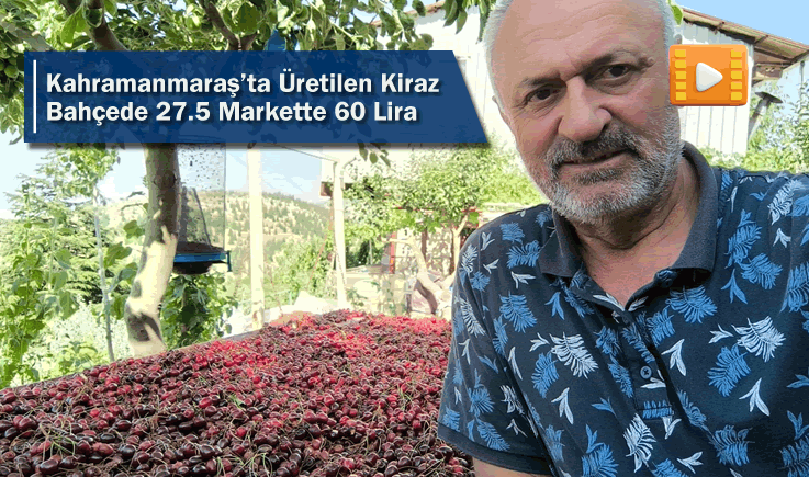 Kahramanmaraş'ta Üretilen Kiraz Bahçede 27.5 Markette 60 Lira