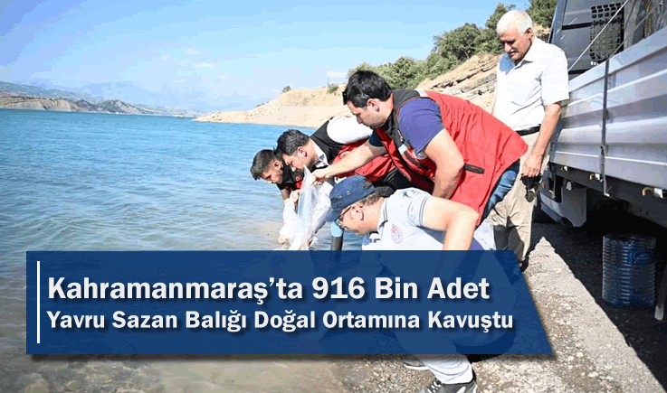 Kahramanmaraş'ta 916 Bin Adet Yavru Sazan Balığı Doğal Ortamına Kavuştu