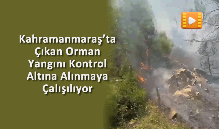 Kahramanmaraş’ta Çıkan Orman Yangını Kontrol Altına Alınmaya Çalışılıyor