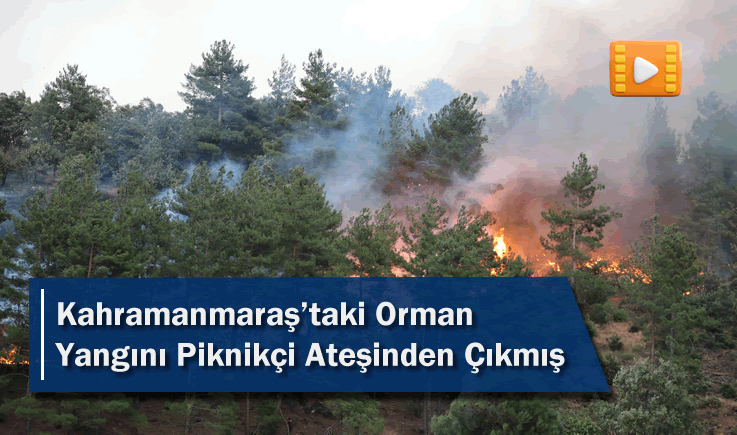 Kahramanmaraş'taki Orman Yangını Piknikçi Ateşinden Çıkmış