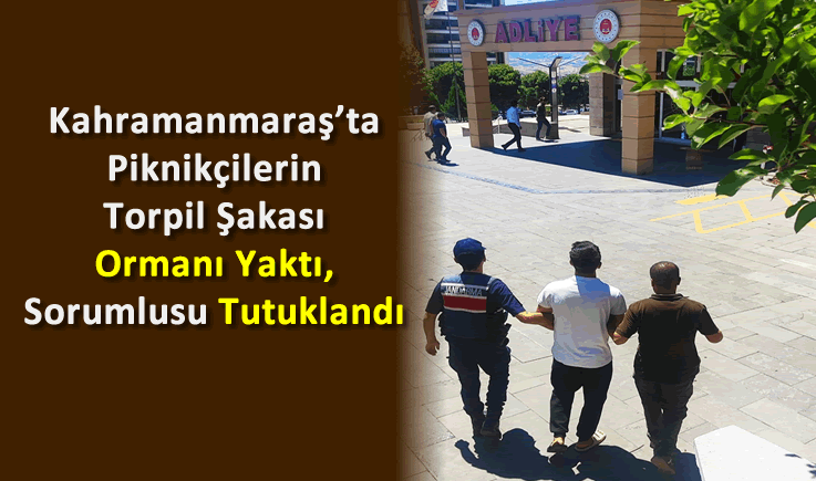 Kahramanmaraş'ta Piknikçilerin Torpil Şakası Ormanı Yaktı, Sorumlusu Tutuklandı