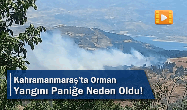 Kahramanmaraş’ta Orman Yangını Paniğe Neden Oldu!