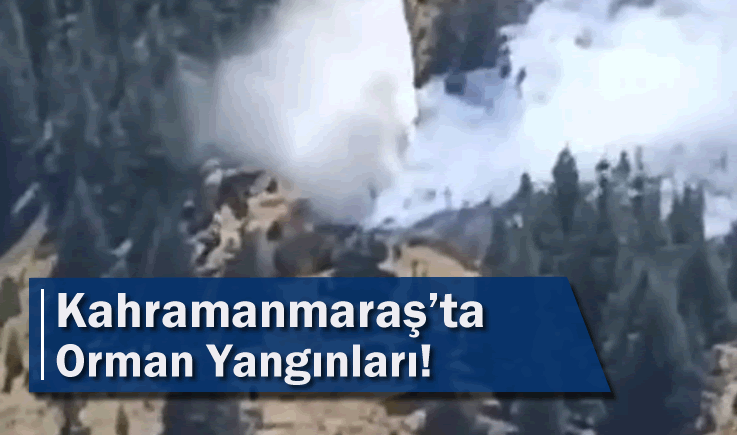 Kahramanmaraş’ta Orman Yangınları!