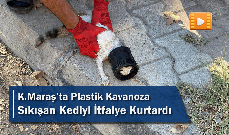 Kahramanmaraş'ta Plastik Kavanoza Sıkışan Kediyi İtfaiye Kurtardı