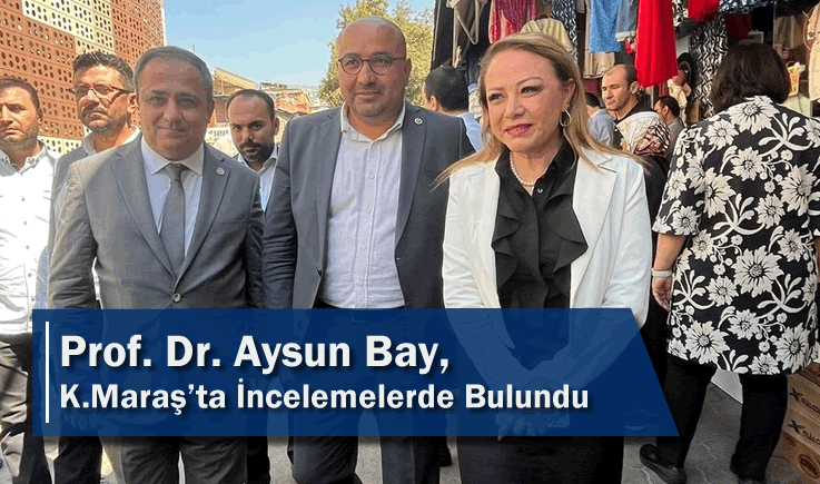 Prof. Dr. Aysun Bay, Kahramanmaraş'ta İncelemelerde Bulundu