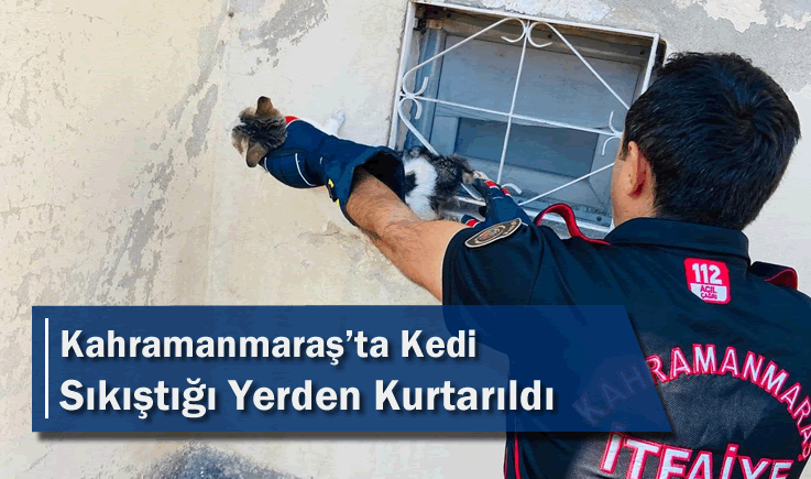 Kahramanmaraş'ta Kedi Sıkıştığı Yerden Kurtarıldı