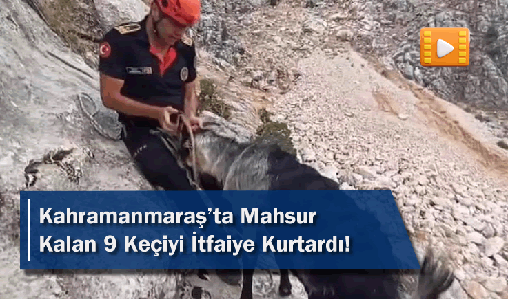 Kahramanmaraş'ta Mahsur Kalan 9 Keçiyi İtfaiye Kurtardı!