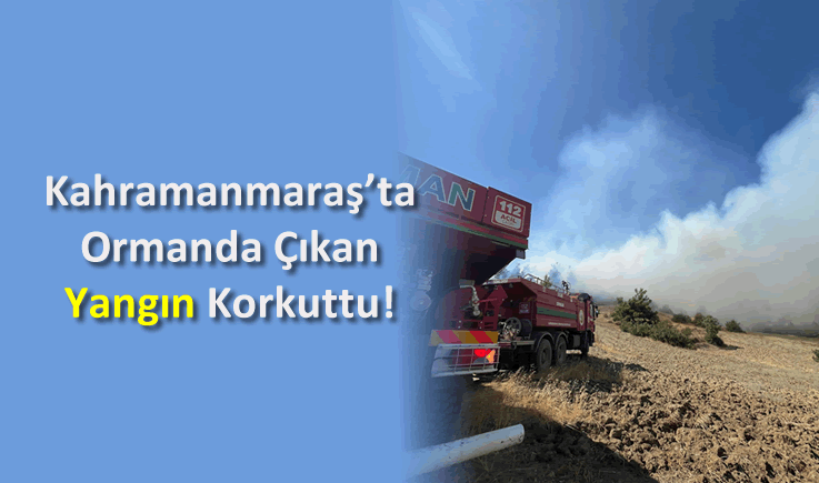 Kahramanmaraş'ta Ormanda Çıkan Yangın Korkuttu!