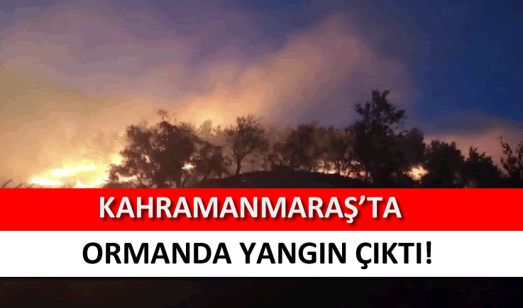 Kahramanmaraş'ta ormanda yangın çıktı!