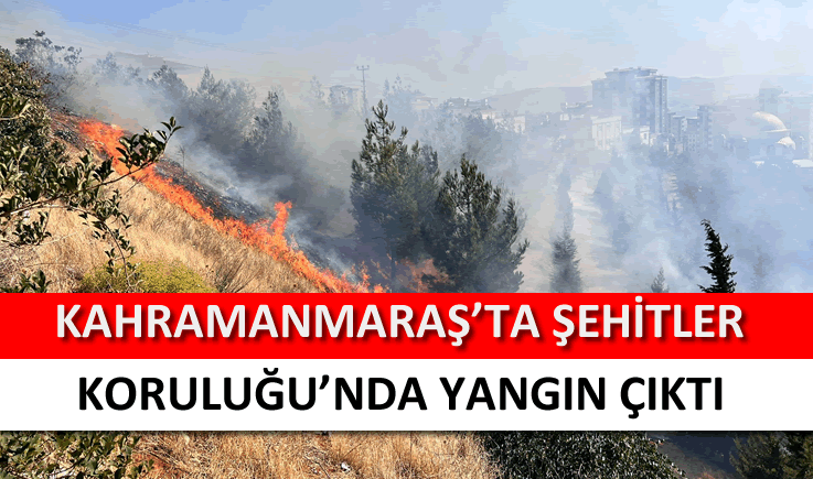 Kahramanmaraş'ta Şehitler Koruluğu'nda yangın çıktı