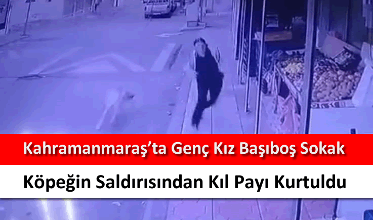 Kahramanmaraş'ta genç kız başıboş sokak köpeğin saldırısından kıl payı kurtuldu