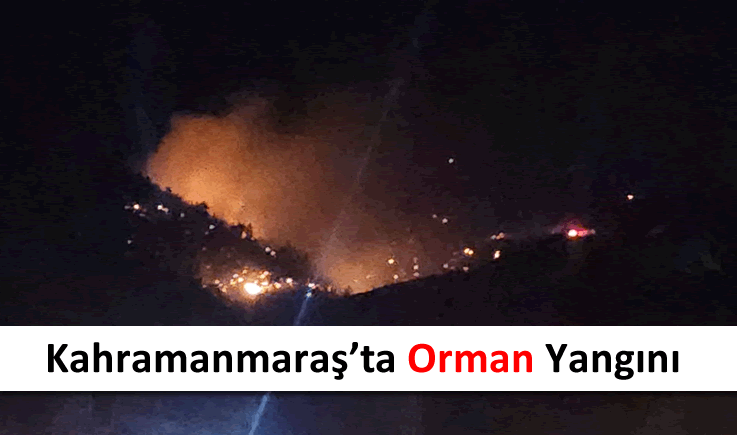 Kahramanmaraş'ta orman yangını