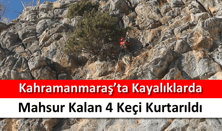 Kahramanmaraş'ta kayalıklarda mahsur kalan 4 keçi kurtarıldı