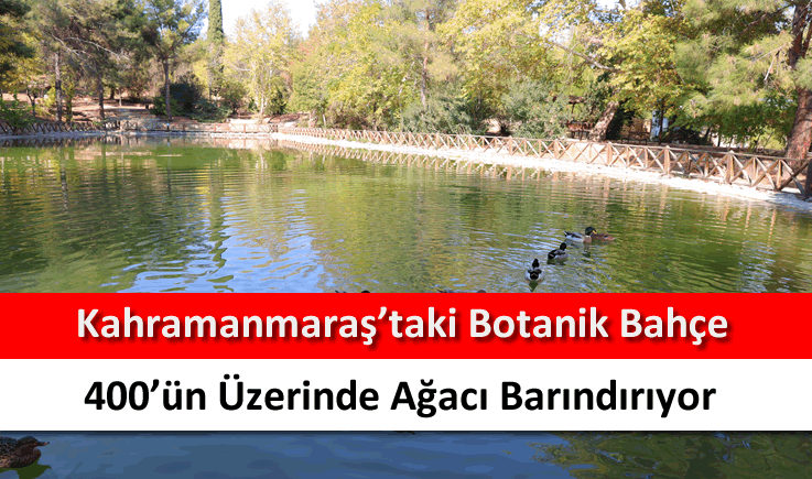 Kahramanmaraş’taki botanik bahçe 400’ün üzerinde ağacı barındırıyor