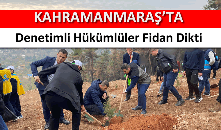 Kahramanmaraş’ta denetimli hükümlüler fidan dikti