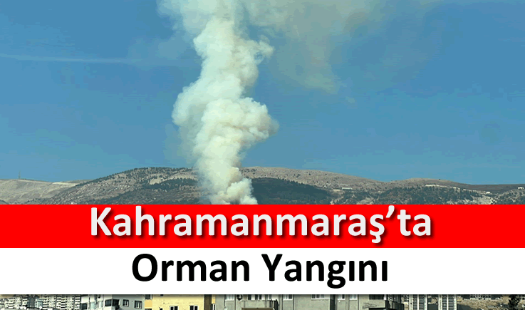 Kahramanmaraş'ta orman yangını