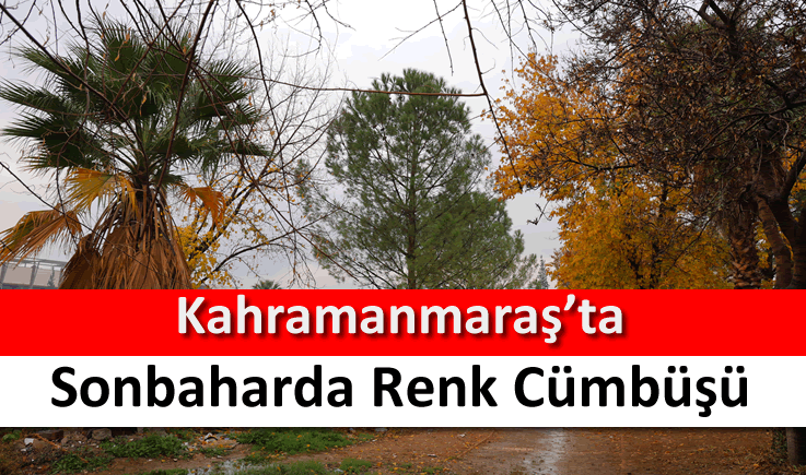 Kahramanmaraş'ta sonbaharda renk cümbüşü