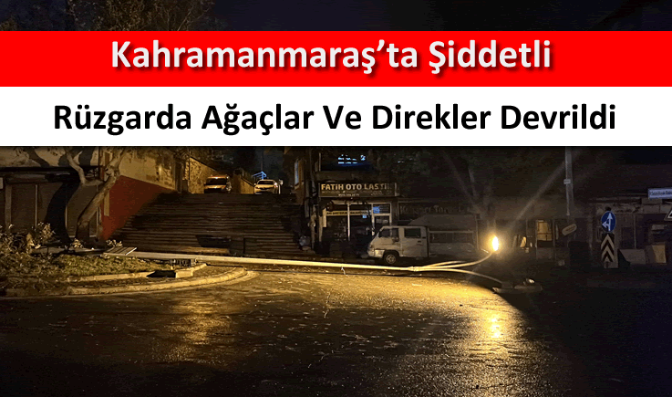 Kahramanmaraş’ta şiddetli rüzgarda ağaçlar ve direkler devrildi